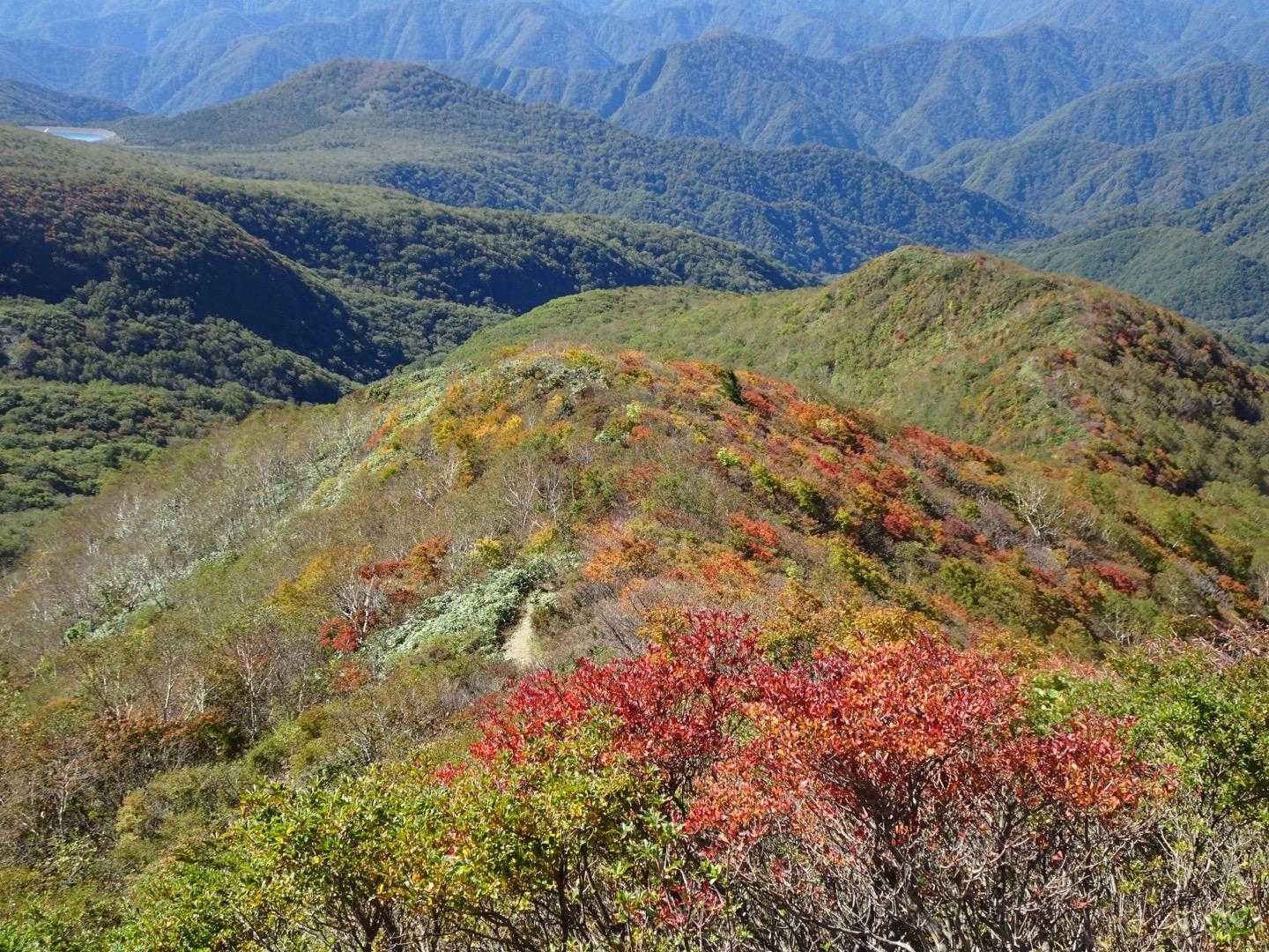 🍁⠜•*¨*•.¸♬︎