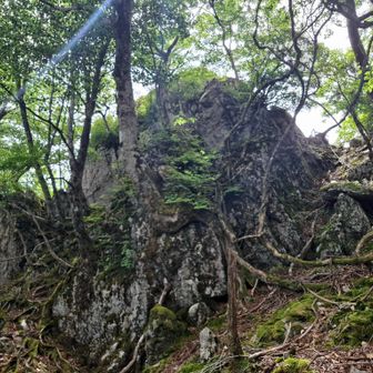 天女ヶ岩
