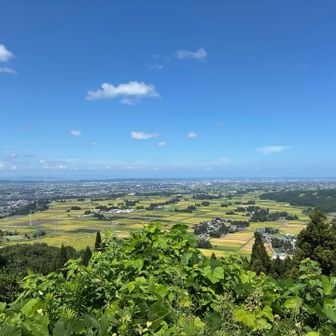 猿倉山より富山平野はコシヒカリ稲刈り中です^_^