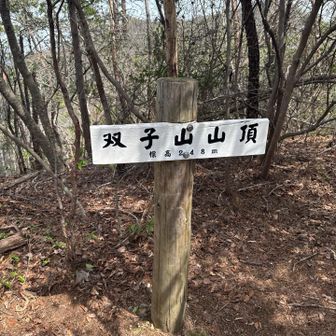 双子！ここは長男？次男？長女？次女？