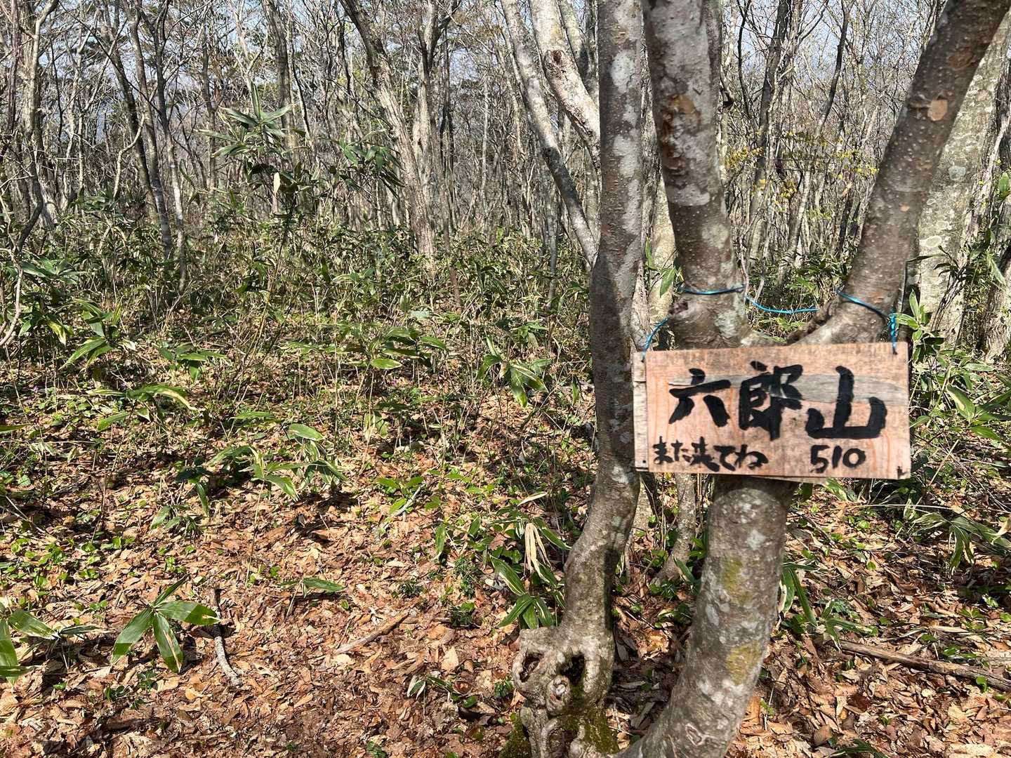 初めて来ましたー