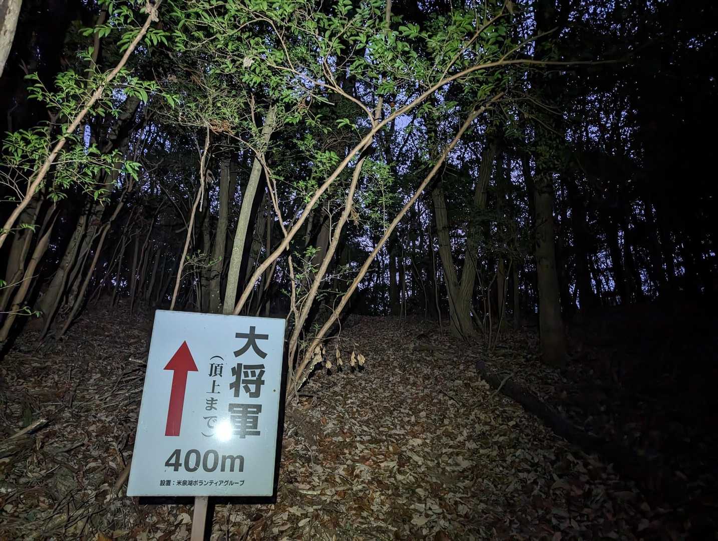 夜が明けてきました。