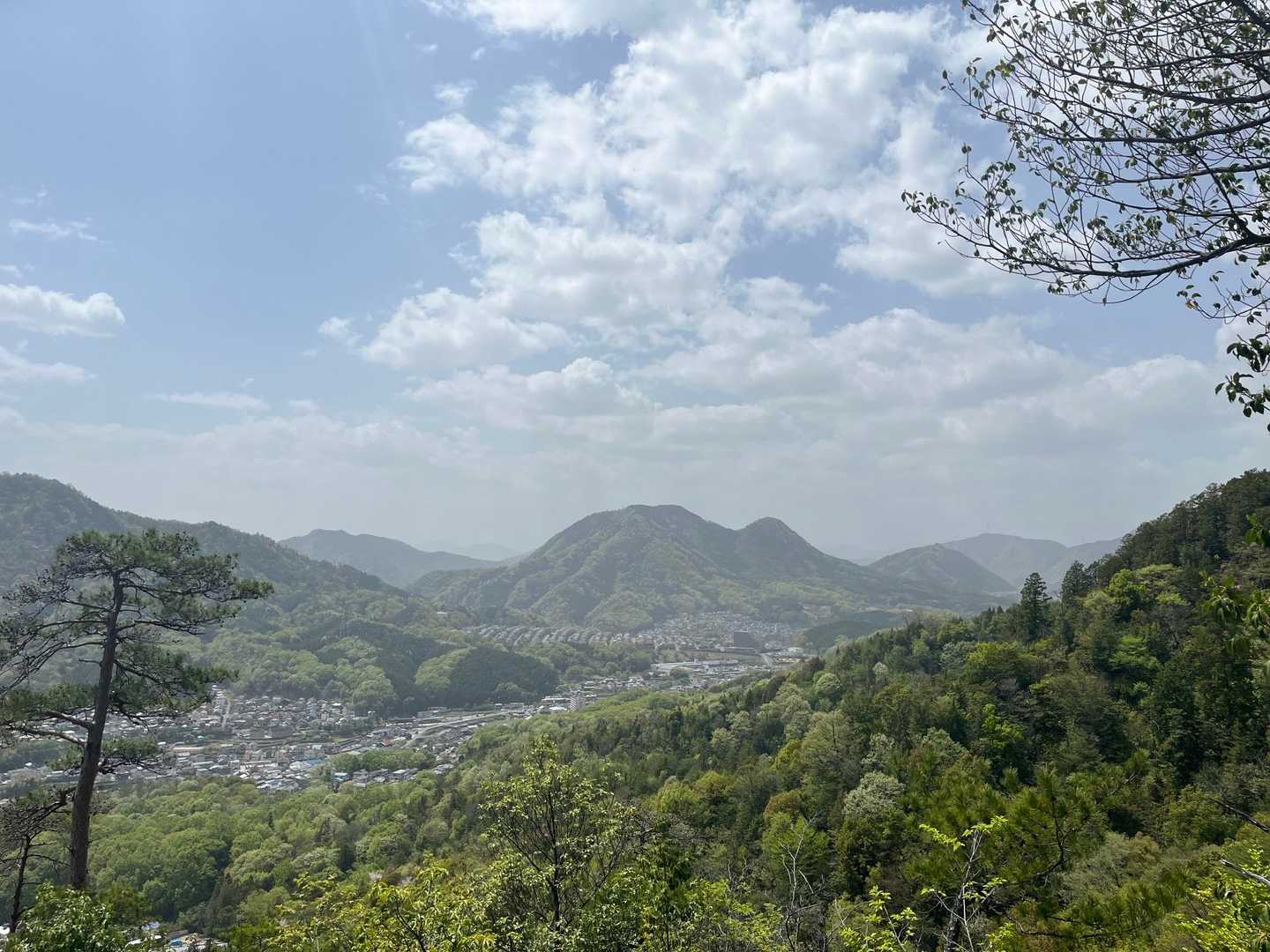 福王寺山 往復コースの写真