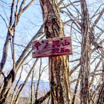 急登里山ﾄﾗﾊﾞｰｽつづら折りで登り
✨️中ノ沢山（ﾅｶﾉｻﾜﾔﾏ）:626m✨️