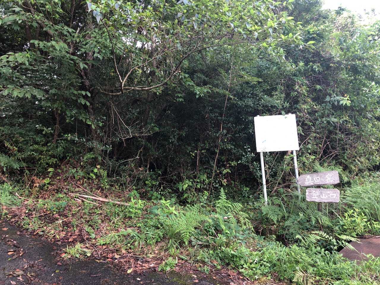 登山口