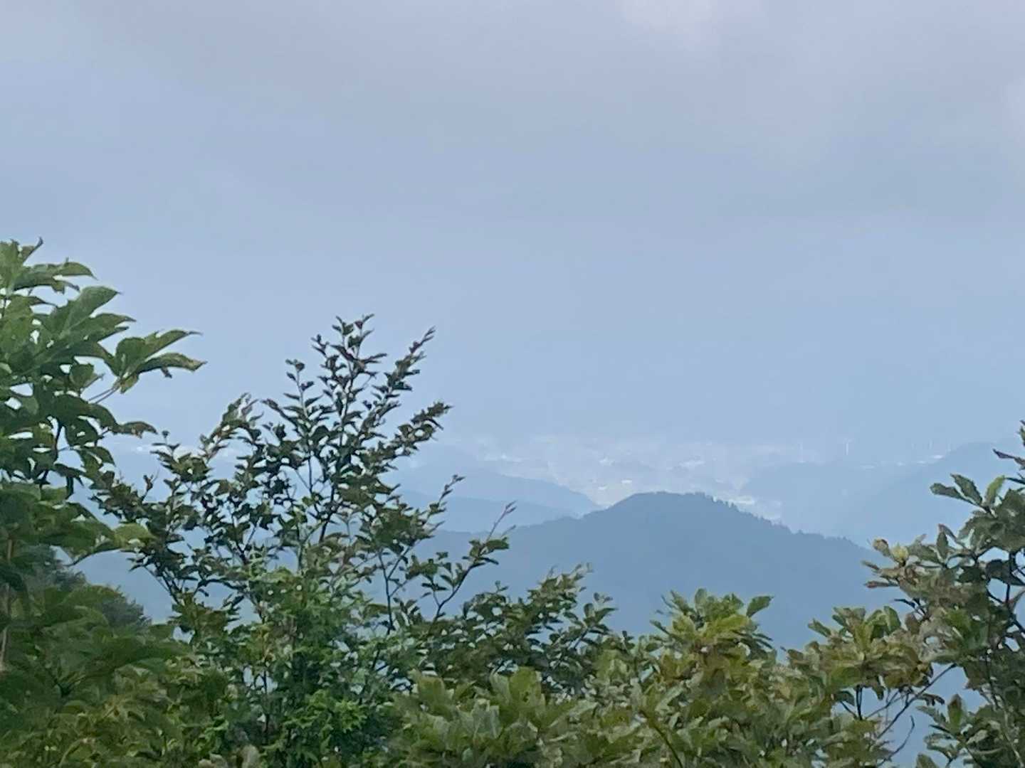 白鳥方面か？