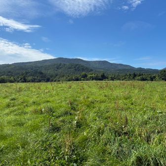 まずは草原ね！
奥がぼんてん山です⛰️