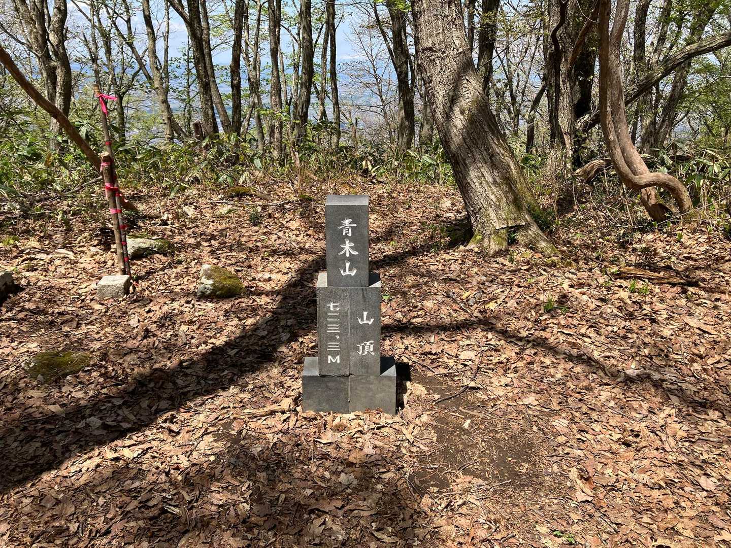 山頂

こんな石のやつあったっけか？？忘