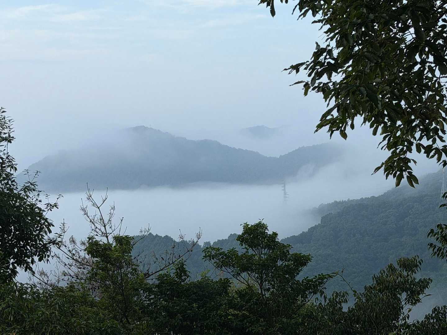 矢筈山 往復コースの写真