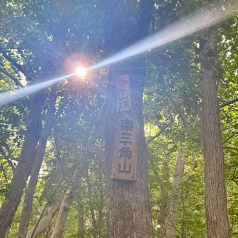 看板🪧撮ったら、ピカーン☀️