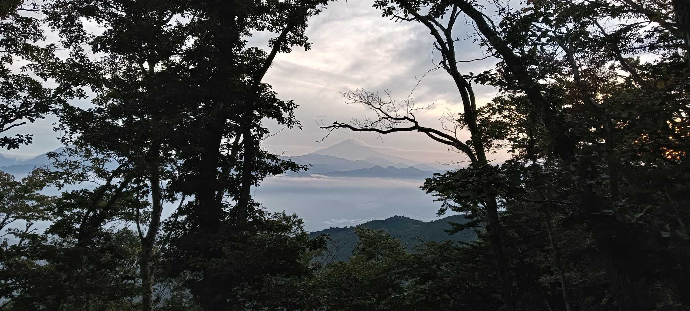 井戸バス停-軍刀利神社-生藤山-連行峰-醍醐丸-醍醐峠-醍 縦走コースの写真