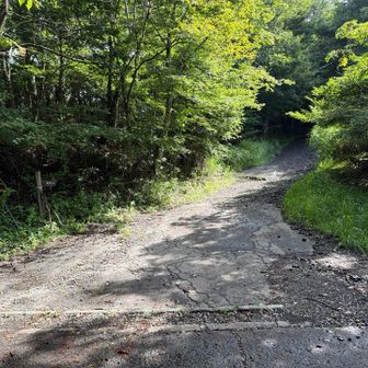 鳥居地峠（とりいちとうげ）駐車場前の登山口