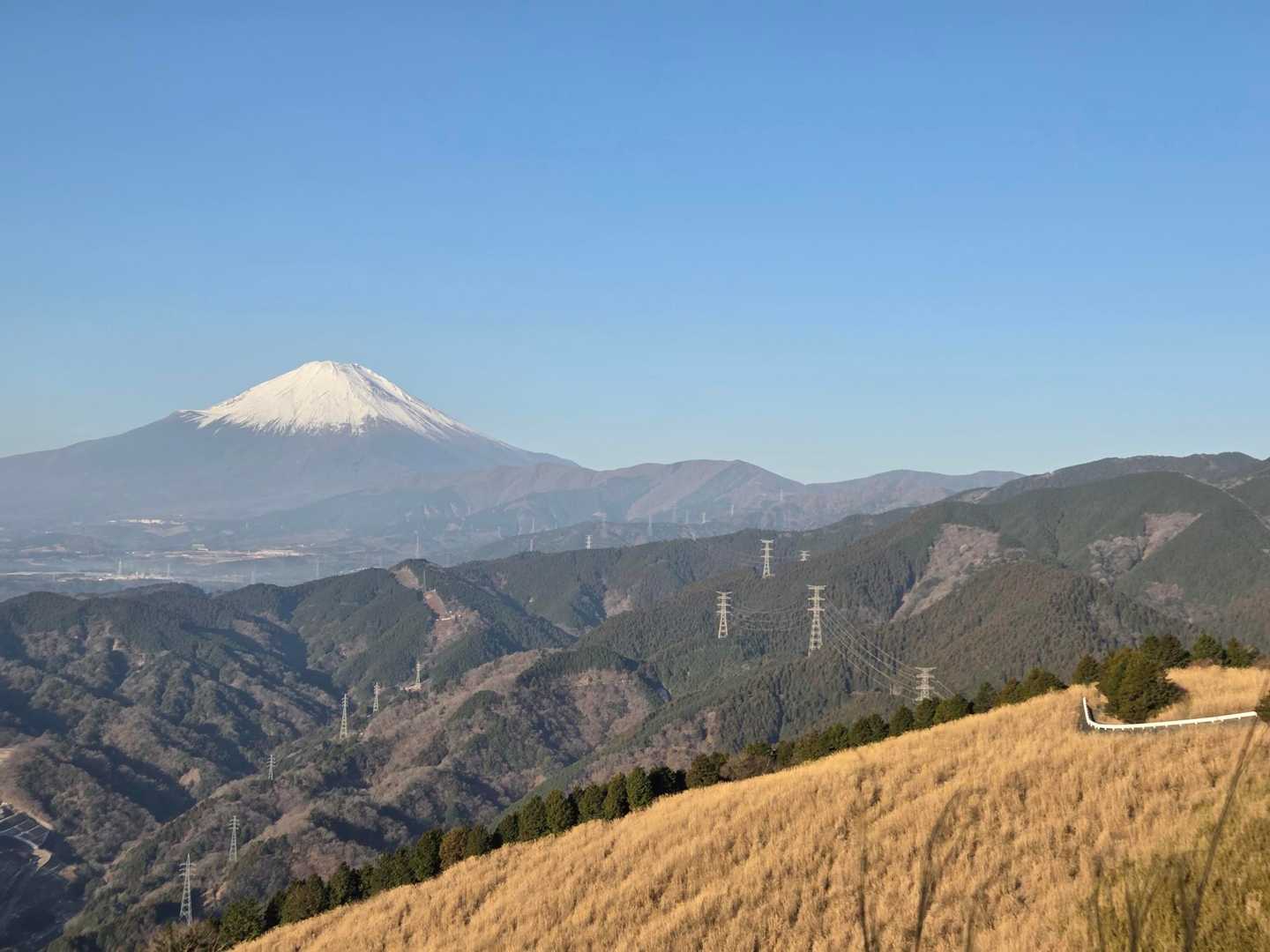 谷峨駅-大野山 往復コースの写真