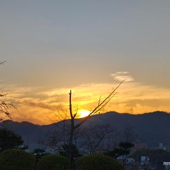 書写山？夕陽が沈んでしまう🌇
