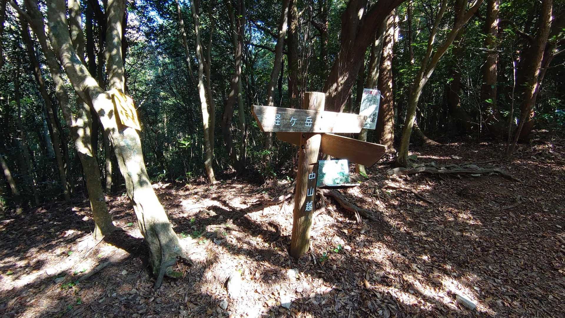 中山越から金泉寺方向へ。