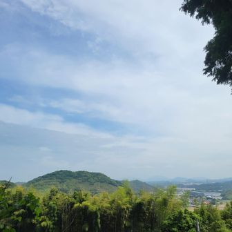 もう降りてしまいました…