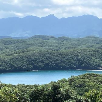 後方に白嶽が見えた⛰️