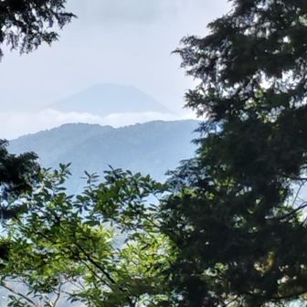 堀山の家から見たうっすら富士山🗻✨️