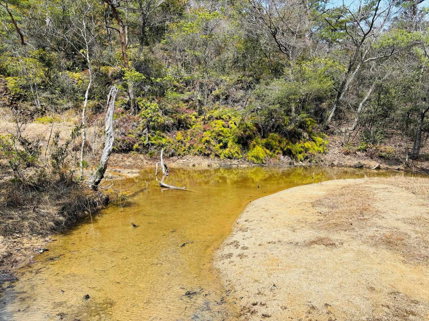 里南口バス停-アルプス登山口バス停-堂山-太神山-出合峠- 周回コースの写真