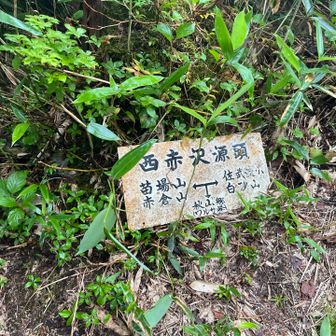 ようやく分岐まできた