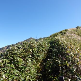 道が急登になってきました