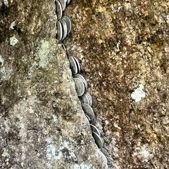 この辺隙間という隙間に1円玉が！
10000枚は軽くありそう