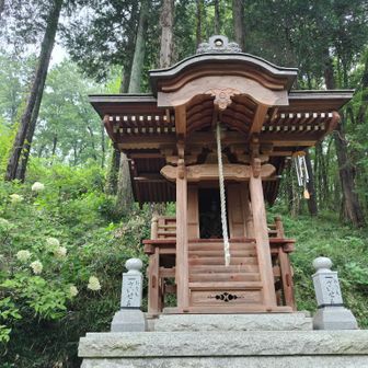 紫陽花觀音でお参り🙏