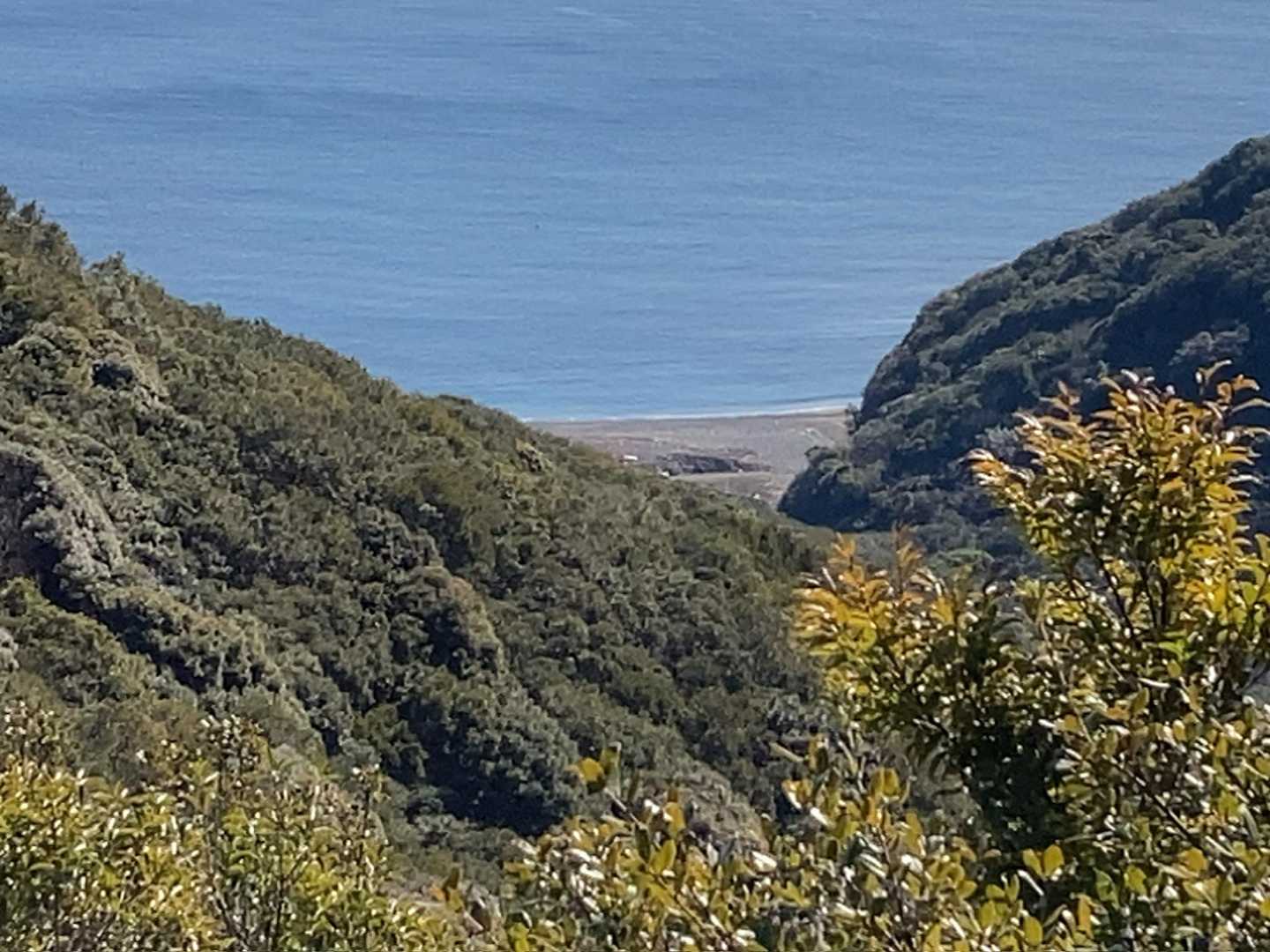相賀浅間山-北峰-局ヶ頂-網代浜-米子浜 周回コースの写真