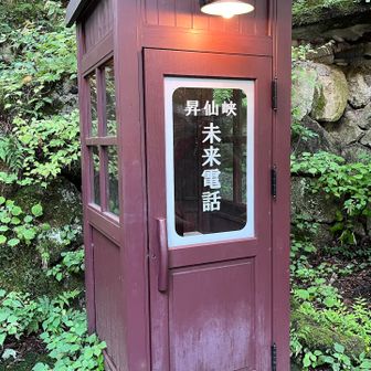 未来の☎️