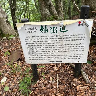 鯖街道の看板。鯖街道と言えば、日本昔話のやまんばを思い出します。