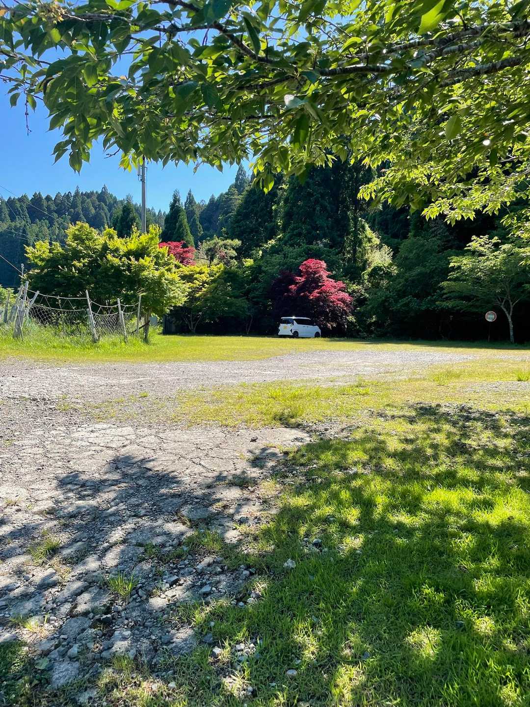 監督の予言に従い、赤い紅葉の下に停めて下山したら木陰😆👍NICE💫