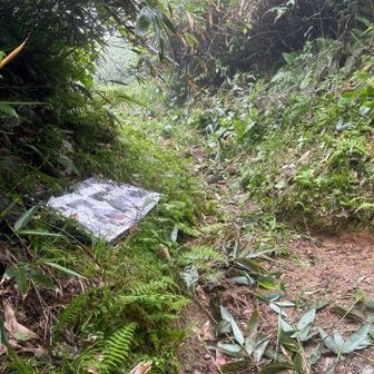 ここから今回の登山
8/1にこの分岐まで刈り払いしました