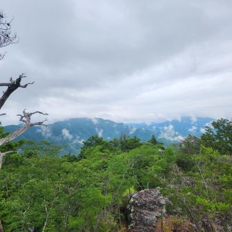 瑠璃山の看板が見当たらないので、あちこち探し周りましたがありませんでした。鳳来寺山で休憩していた方に伺った所、看板は無いとのこと。解って良かったー。