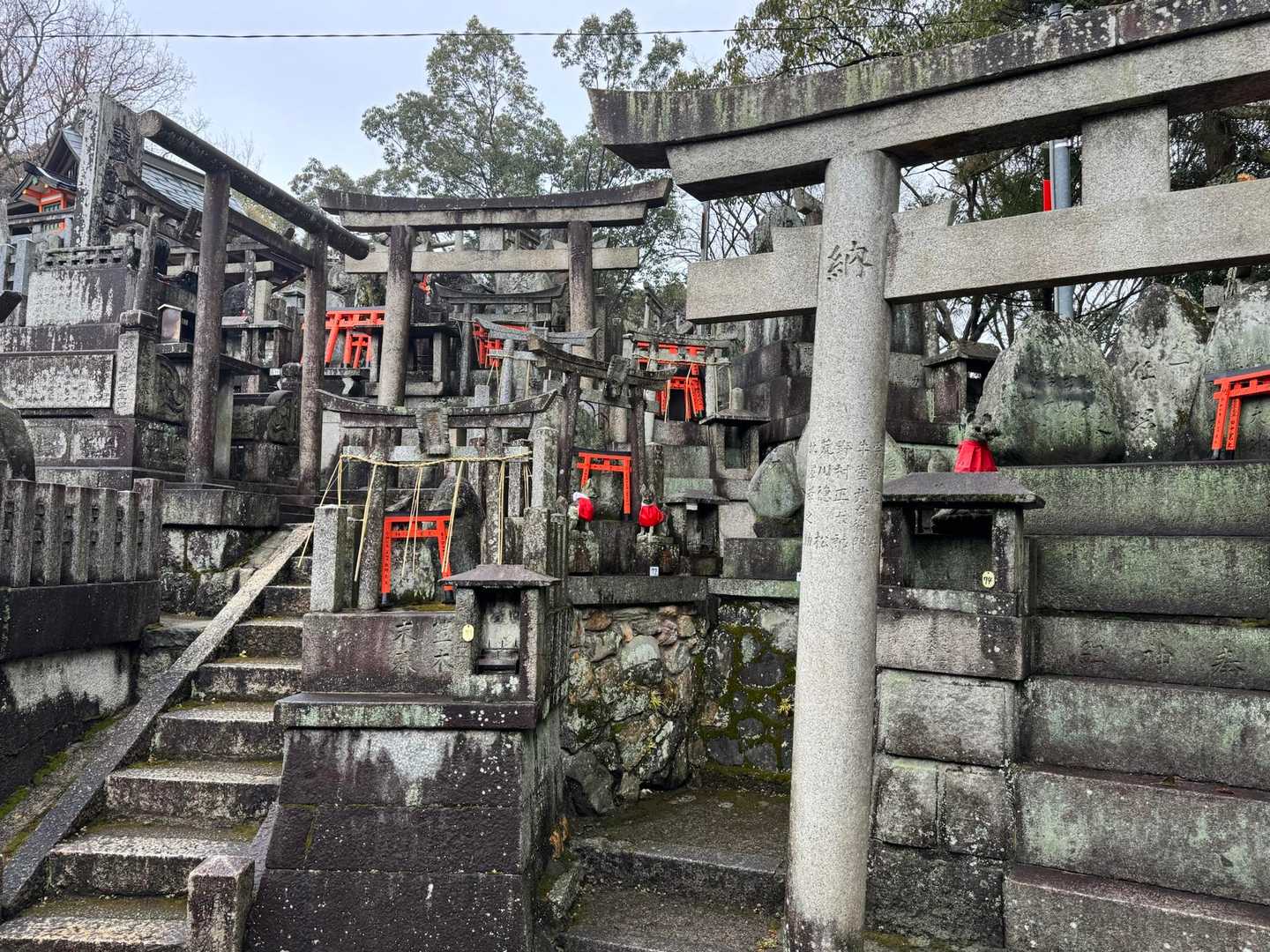 モノクロと赤🟥
山頂一帯
山頂標識はないと思われる