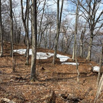 ところどころにまだ雪☃️が。
