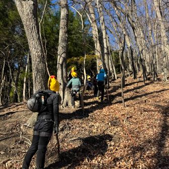 懸垂下降の体験会