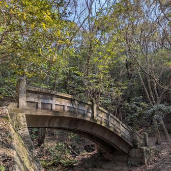 いつか渡って　その先を
見てみたい


お墓参り
サクッと！

ご先祖様は　
ご無沙汰が　寂しかったようで…
草抜きのご褒美
なかなか　手強い
たっぷり　2時間

お墓参りの帰りに　操山でランチ計画

見抜かれてた…

ピークハントでもない
癒しハイク
木漏れ日の中　ふわふわ　ふわふわ
いい　時間　❣