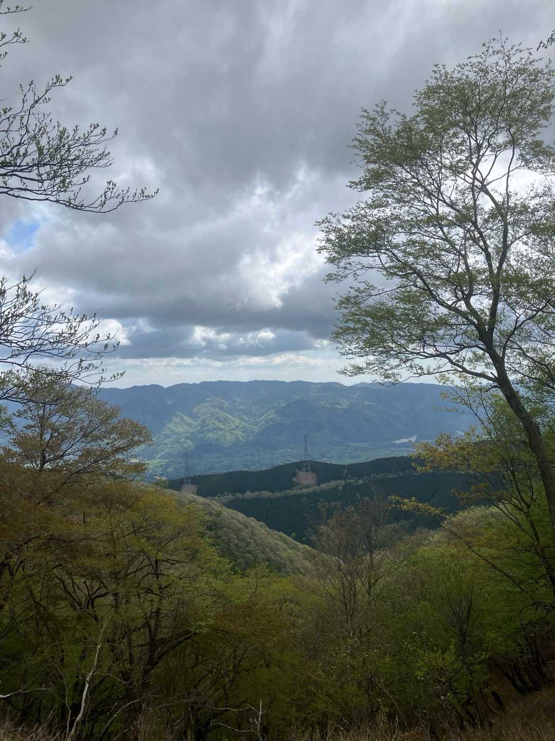 少し眺望の有る場所からパチリしました。