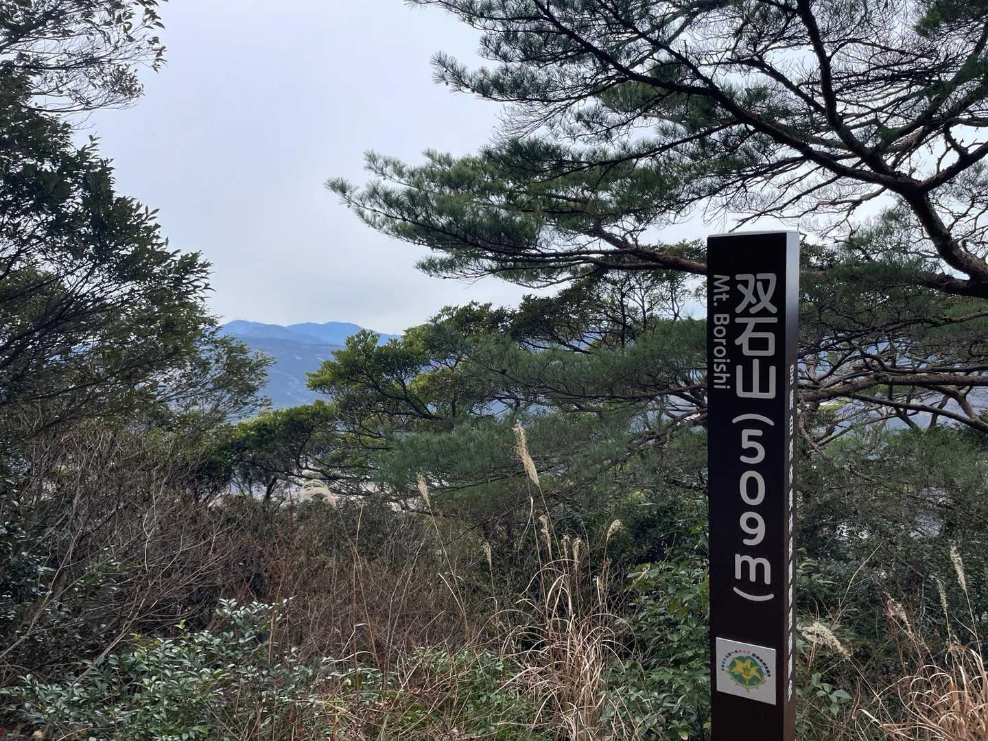 程なく山頂到着
写真では写ってないですが標識の右側から眺望はあります
山小屋までのピストンも考えましたが往復で40分となっていたので断念してここから折り返して下山します