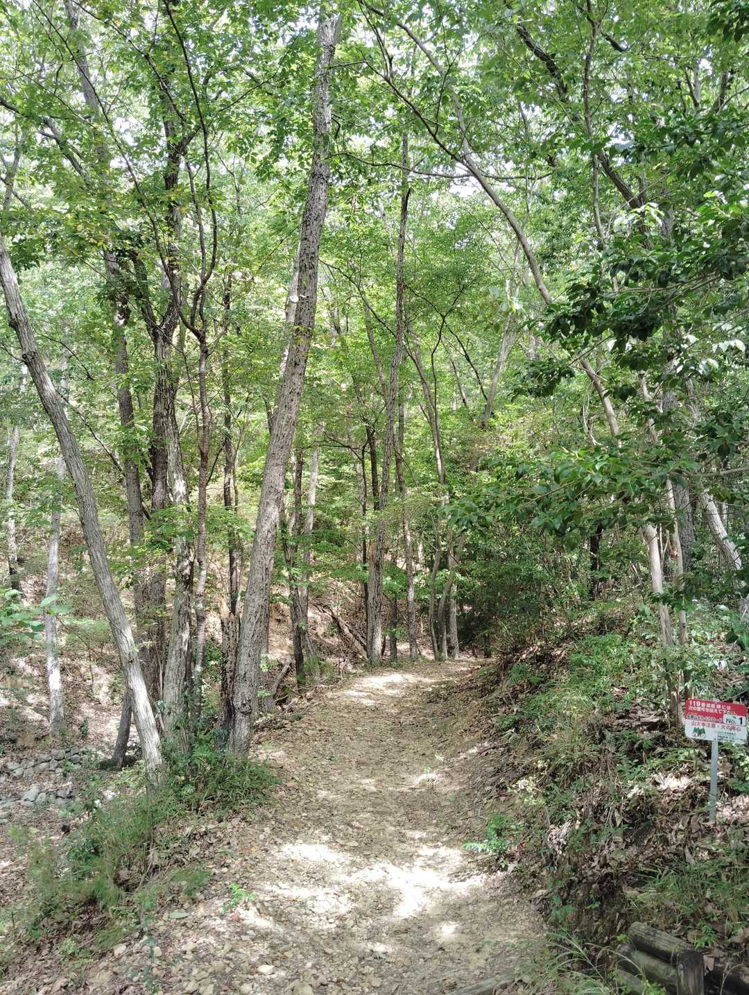 いいお山でした。また、訪れたいですね。