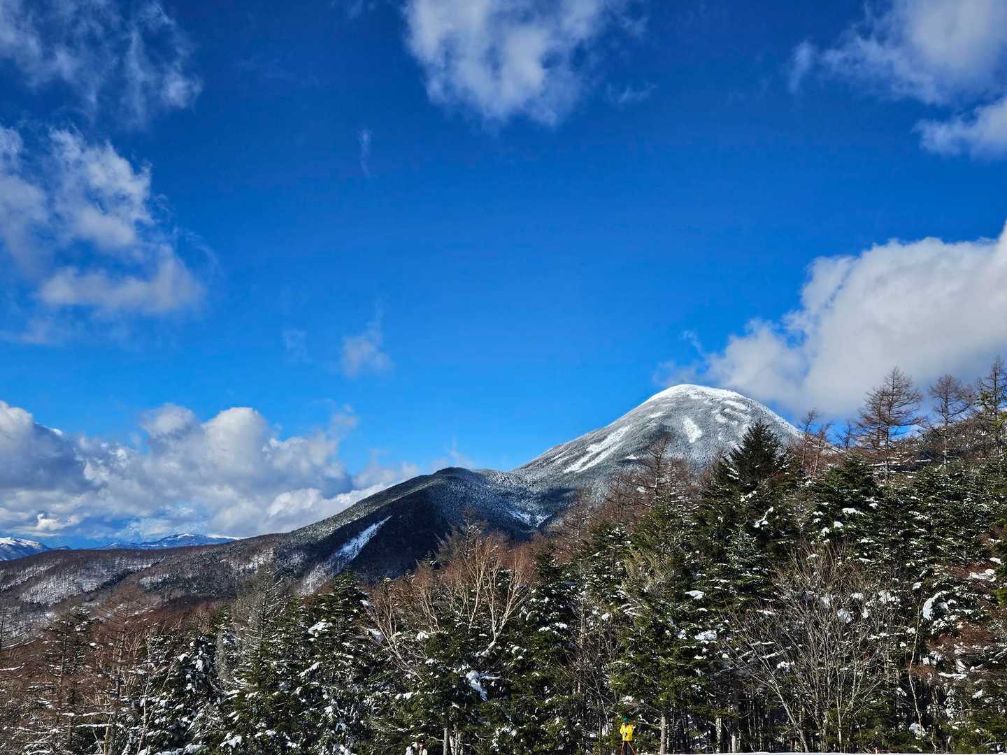蓼科が現れた🏔