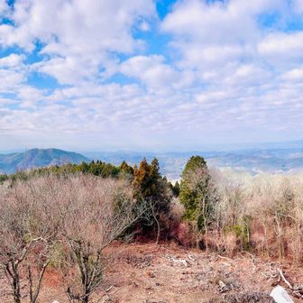 開けたパノラマ