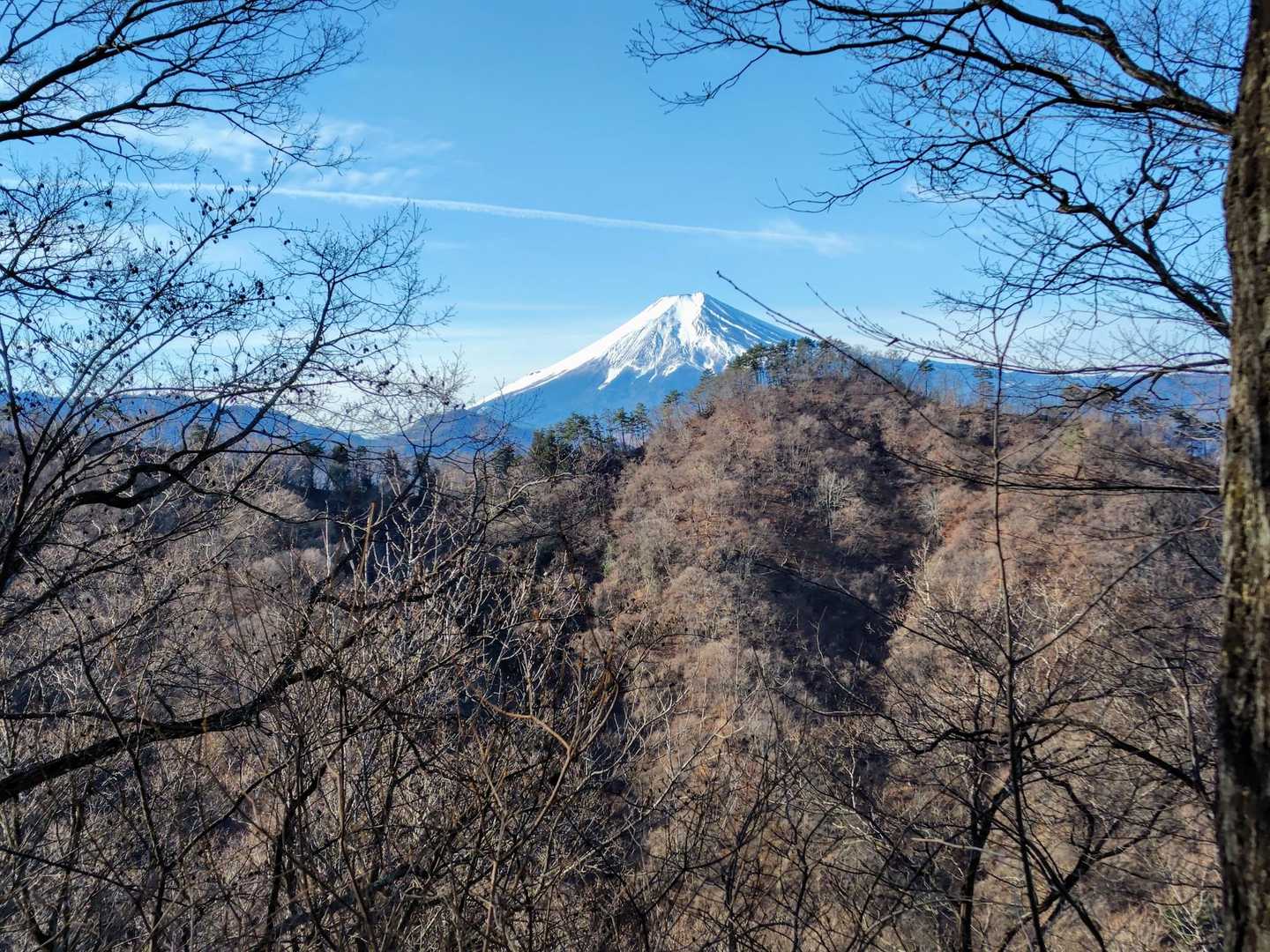 男坂女坂合流地点辺りからこんな感じで富士山か現れます