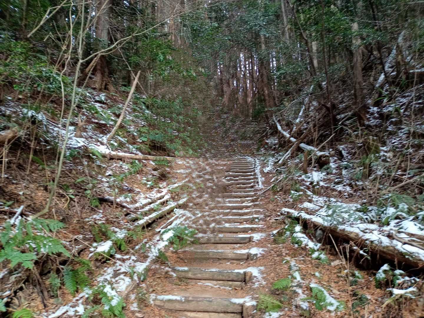 長岳寺
　歴史と健康の道コース🥾
よりスタート😉👏
