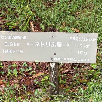 ネトリ広場