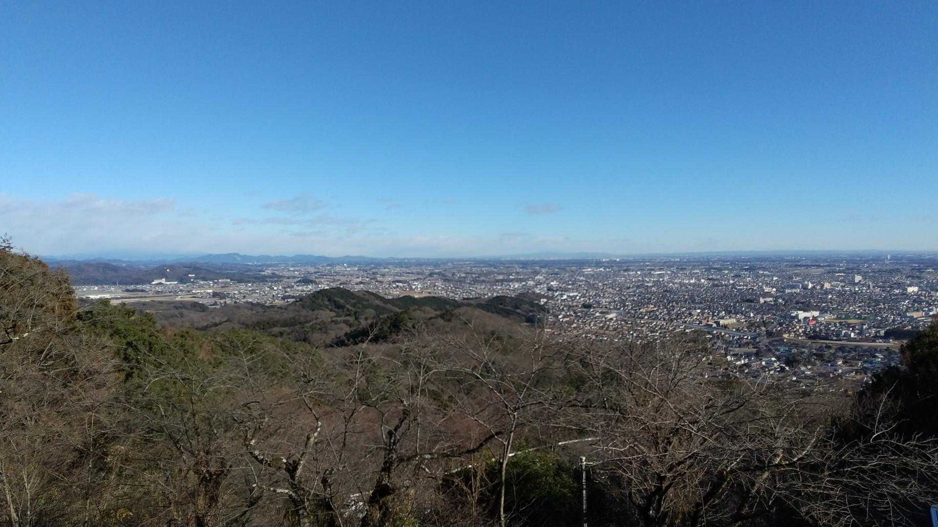 神社の脇の茶屋で
お団子買って