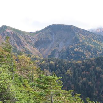 本日の目的地の根石岳山荘が見えた‼️