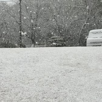 今日は伊吹の滝に駐車できなかったので、下の公園の駐車場。積もってるし…