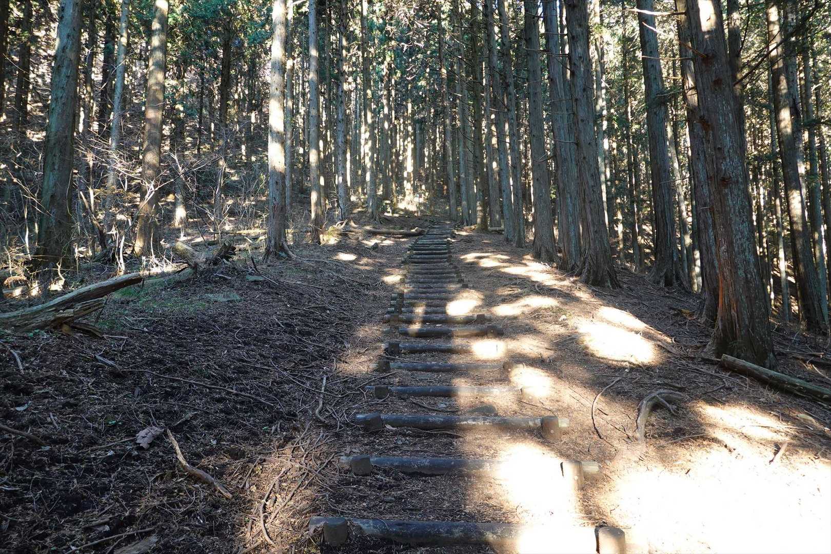 鍬柄岳登山口-鍬柄岳-大桁山-大桁山登山口-川後石峠 周回コースの写真