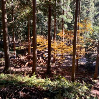 林道が見えて嬉しかったですw